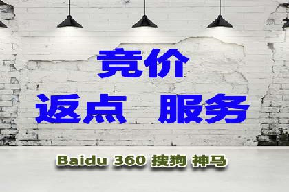 某公司SEM推广的失败教训与成功经验