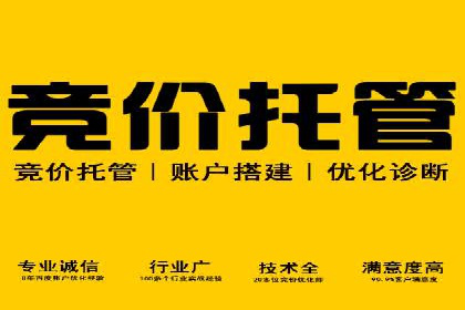 竞价推广公司案例：助力企业实现品牌飞跃